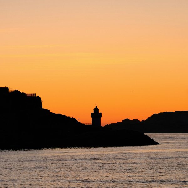 rosalie-gdy-jLKzi0VEjeA-unsplash